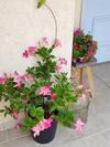 Apartamento Villa By The River Facing The Hermon In Dafna