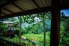 Bed & Breakfast Ella Cottage 219 V