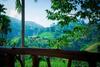 Bed & Breakfast Ella Cottage 219 V