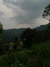 Hostal Whiteflowerhomestayella