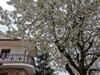 Apartamento Casa Rural Castellanos