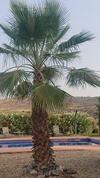 Bed & Breakfast Casa Rural Mas Solana