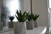 Apartamento Modern & Lux 1 Bed -8 Blvd Downtown