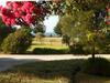 Naracoopa Holiday Cottages
