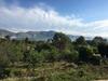 Bernia Relax
