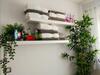Apartamento Plaza San Marcos