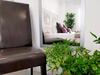 Apartamento Room Plaza & Parking
