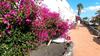 Apartamento Rosa Eden