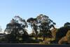 Motel Country Comfort Mt Gambier International