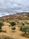 Apartamento Casa Rural Moliner