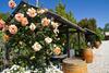 Beechworth On Bridge Boutique Motel