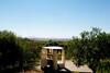 Finca Can Suau