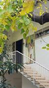 Alice Gallery House