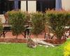 Alpha Hotel Canberra