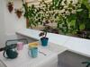 Apartamento Los Mundos de Lusi 2