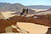 Bedouin Traditions Camp