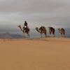 Hotel Bedouin Future Camp