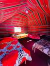 Bedouin Host Camp& With Tour