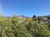 Finca Alda