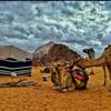 Apartamento Bedouin Mores Camp
