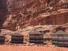 Wadi Rum Dew