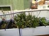 Apartamento �tico Confital