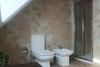 Duplex