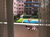 Bonito Apartamento A 250m Del Mar