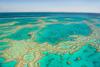 Reefsleep