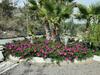Bed & Breakfast La Dolce Vita