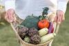 Agroturismo Malbuger Nou Menorca -adults Only-