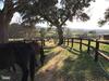 Agroturismo Can Companys