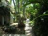 Apartamento Citronnelle Location Naturiste