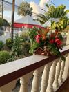 Villa Papillon