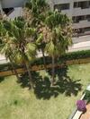 Apartamento Manilva Kateryna