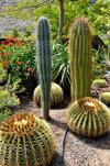 Finca Las Olivas