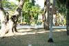 Apartamento Oceanfront Condo W/ Beach Access, Pool, & Gym (2f)