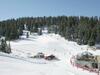 Chalet Alpenrose