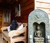 Lodge The Hermitage Solo Retreat Cabin
