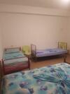 Hostal Jungle House