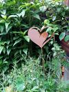 Bed & Breakfast Haus Pinter