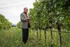 Hostal Weingut & Landhaus Willi Opitz