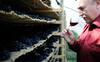 Hostal Weingut & Landhaus Willi Opitz