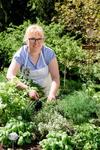 Bed & Breakfast Birkenstub�n - Wirtshaus Am Eckberg