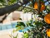 Charming Rural House And Pool 7 Min From The Beach