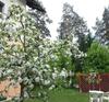Apartamento Ferienwohnung Kerth