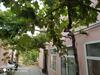 Hostal Guest House Novxani