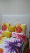 Apartamento Centro Porri�o