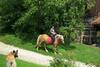 Bischofh�tten