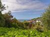 Wisteria Heights - Nelson Holiday Home